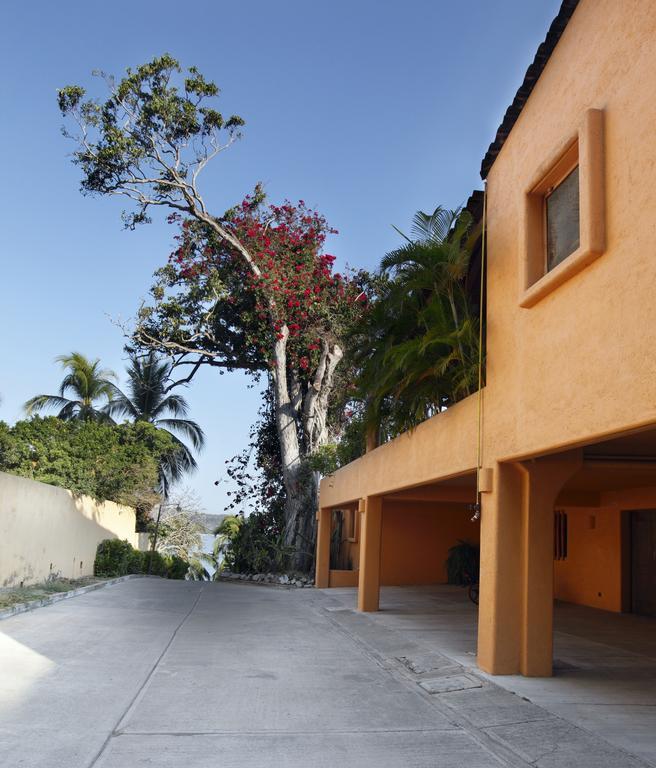 Hotel Casa Don Francisco Ixtapa  Zimmer foto